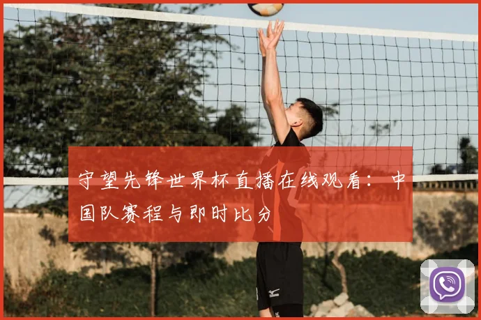 守望先锋世界杯直播在线观看:中国队赛程与即时比分